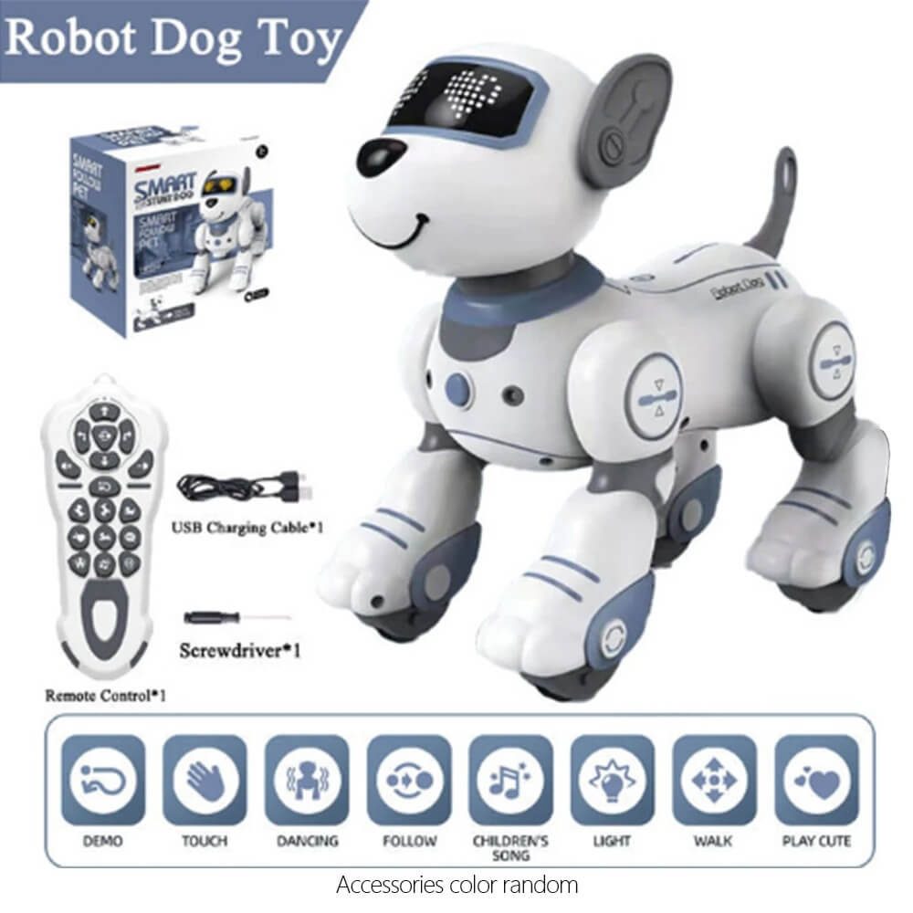 RC Robot Toy With Walking And Dancing Feature