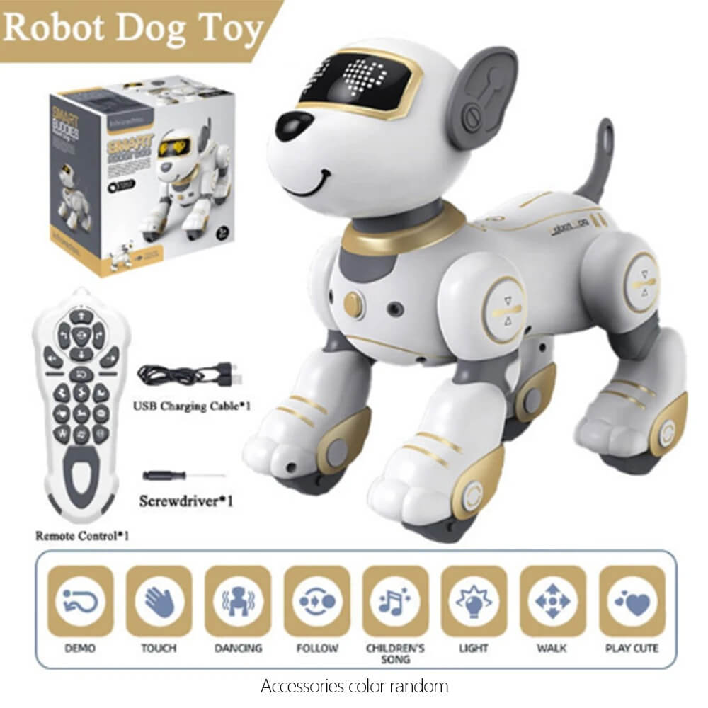 RC Robot Toy With Walking And Dancing Feature